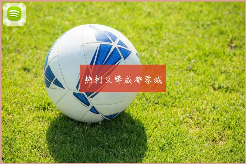 热刺交锋成都蓉城