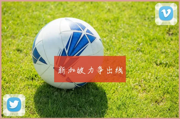 新加坡力争出线