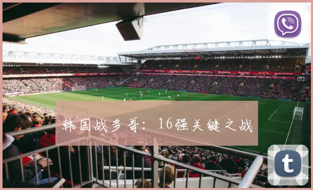 韩国战多哥：16强关键之战