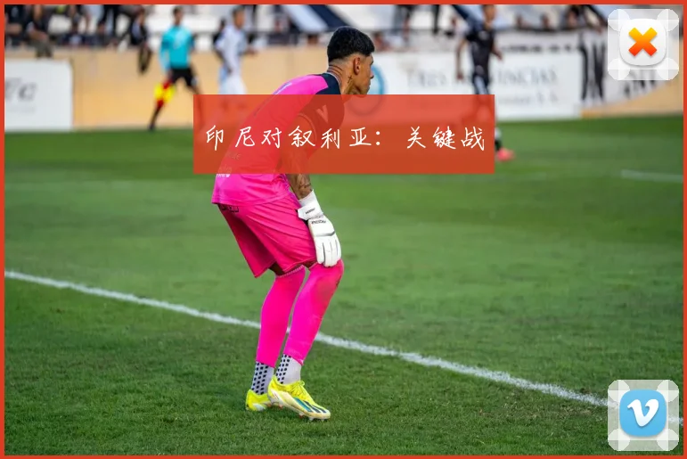 印尼对叙利亚：关键战