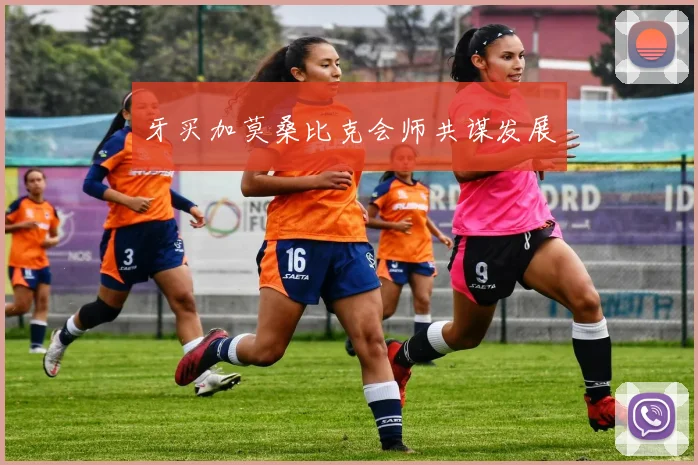 牙买加莫桑比克会师共谋发展