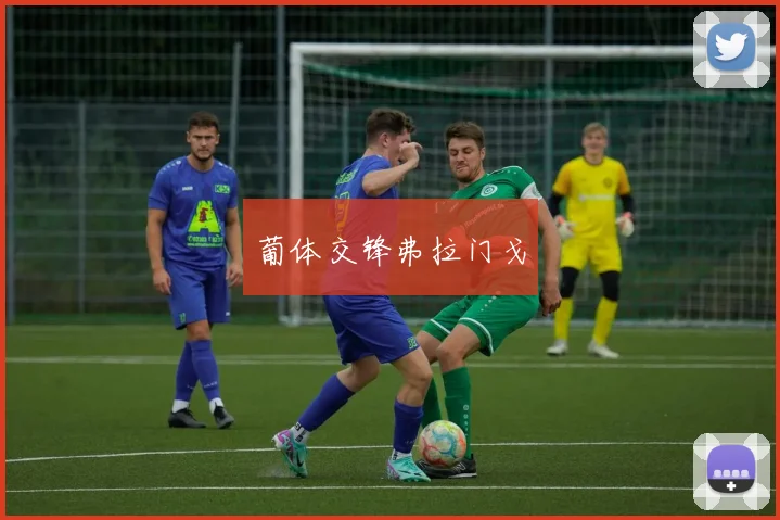 葡体交锋弗拉门戈