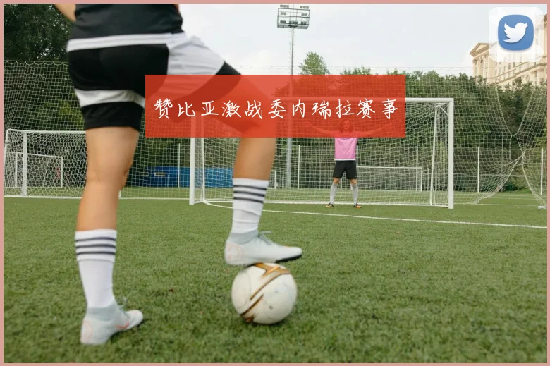 赞比亚激战委内瑞拉赛事