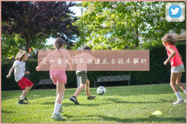 芝加哥火焰队快速反击战术解析