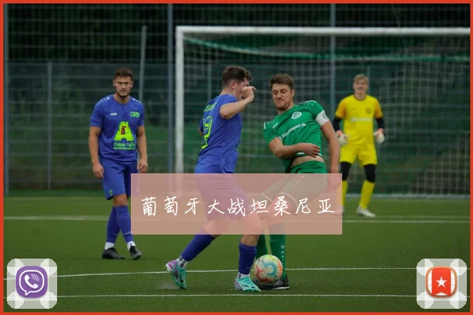 葡萄牙大战坦桑尼亚