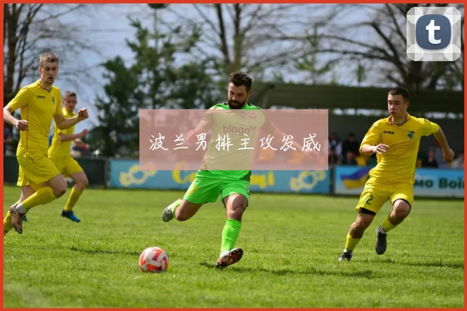 波兰男排主攻发威