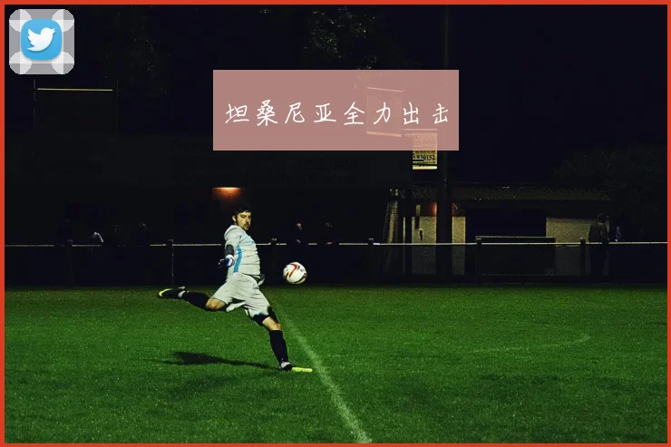 坦桑尼亚全力出击