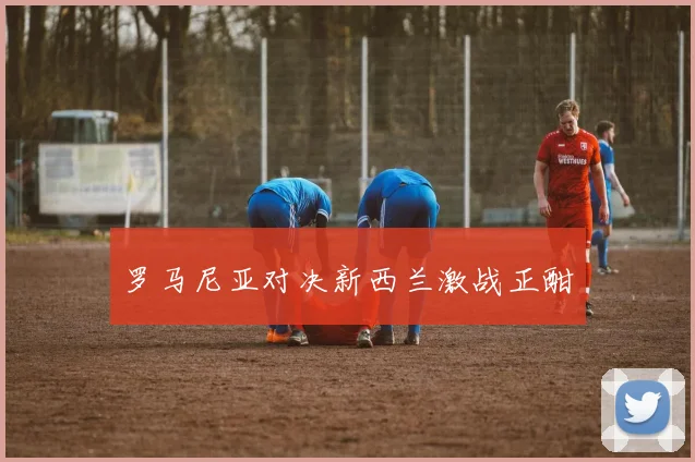 罗马尼亚对决新西兰激战正酣