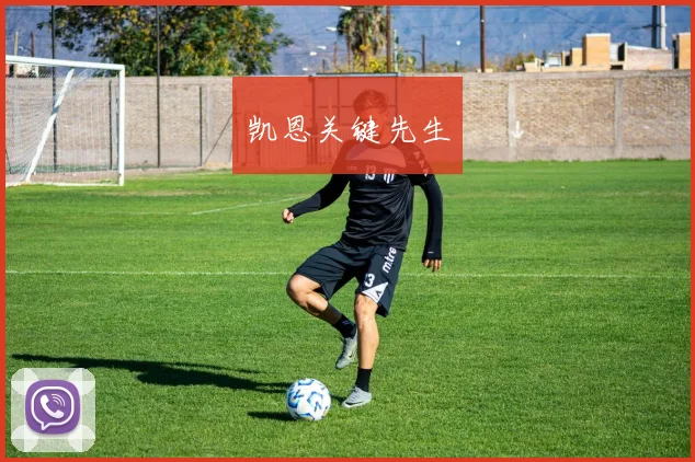凯恩关键先生