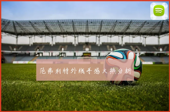 范弗利特外线手感火热分析