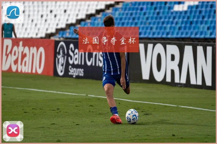 法国争夺金杯