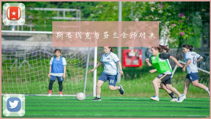 斯洛伐克与芬兰会师对决