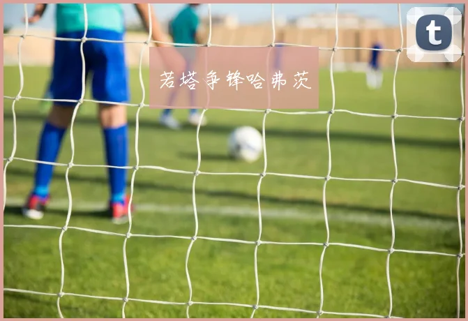 若塔争锋哈弗茨