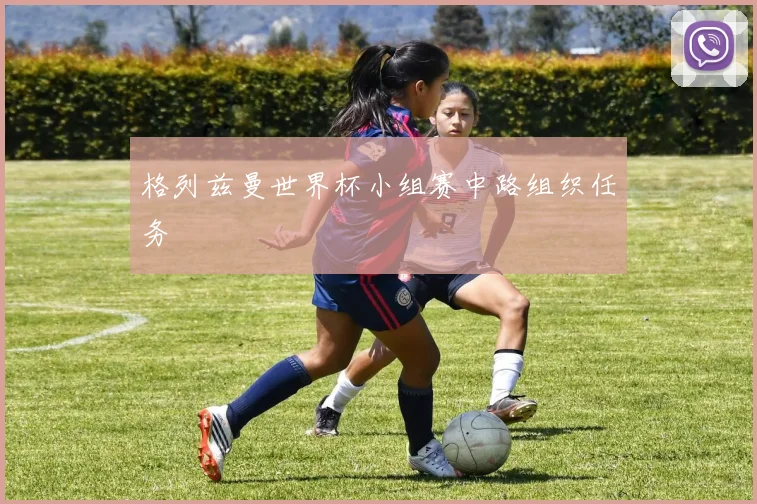 格列兹曼世界杯小组赛中路组织任务