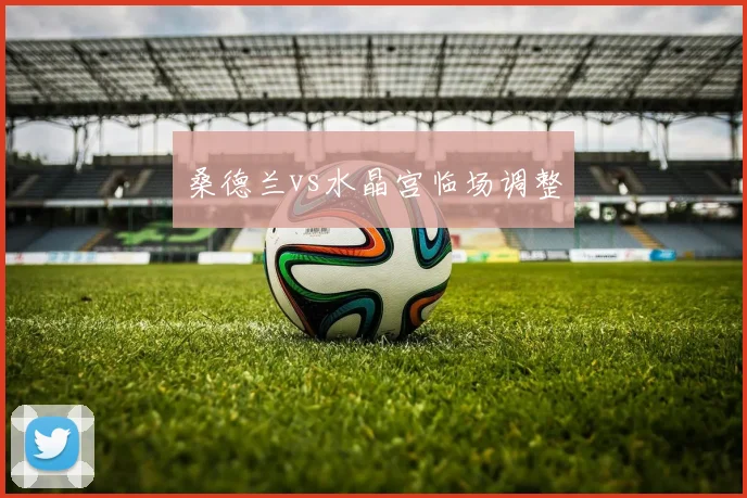 桑德兰vs水晶宫临场调整