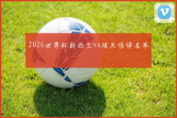 2026世界杯新西兰vs埃及伤停名单
