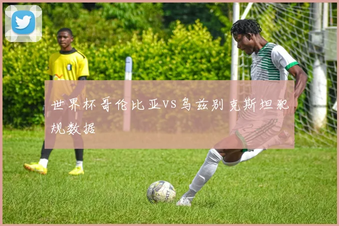 世界杯哥伦比亚vs乌兹别克斯坦犯规数据