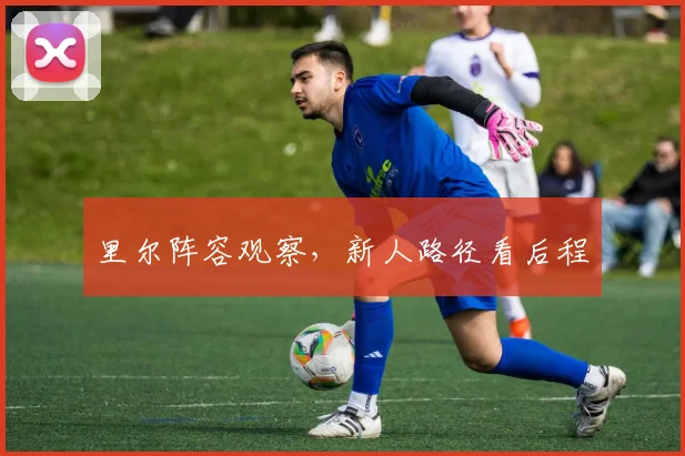 里尔阵容观察,新人路径看后程