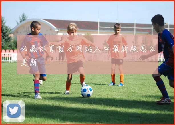 必赢体育官方网站入口最新版怎么更新